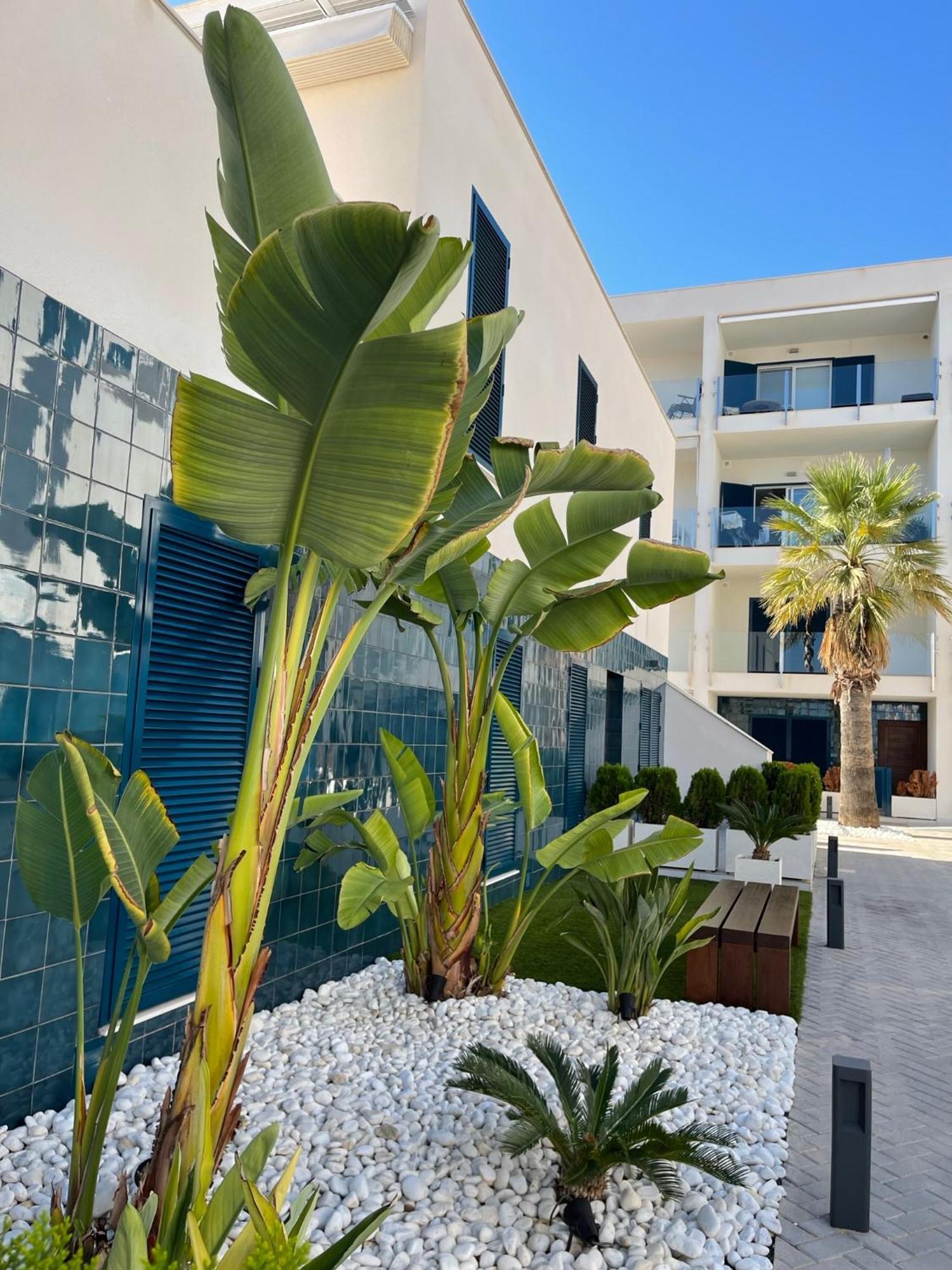 Hola Blanca - Sea, Golf, Chill Lejlighed Dehesa de Campoamor  Eksteriør billede