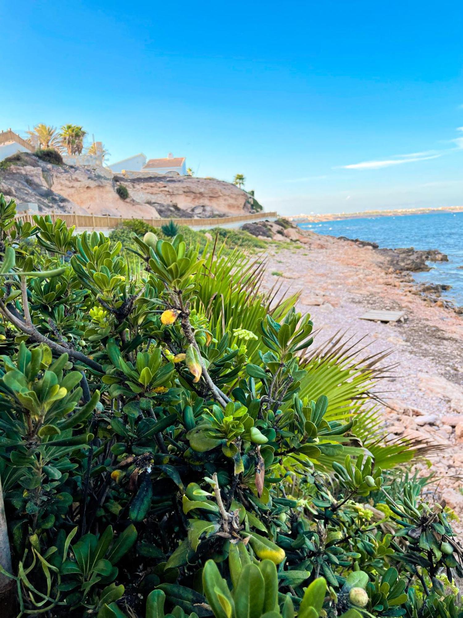 Hola Blanca - Sea, Golf, Chill Lejlighed Dehesa de Campoamor  Eksteriør billede