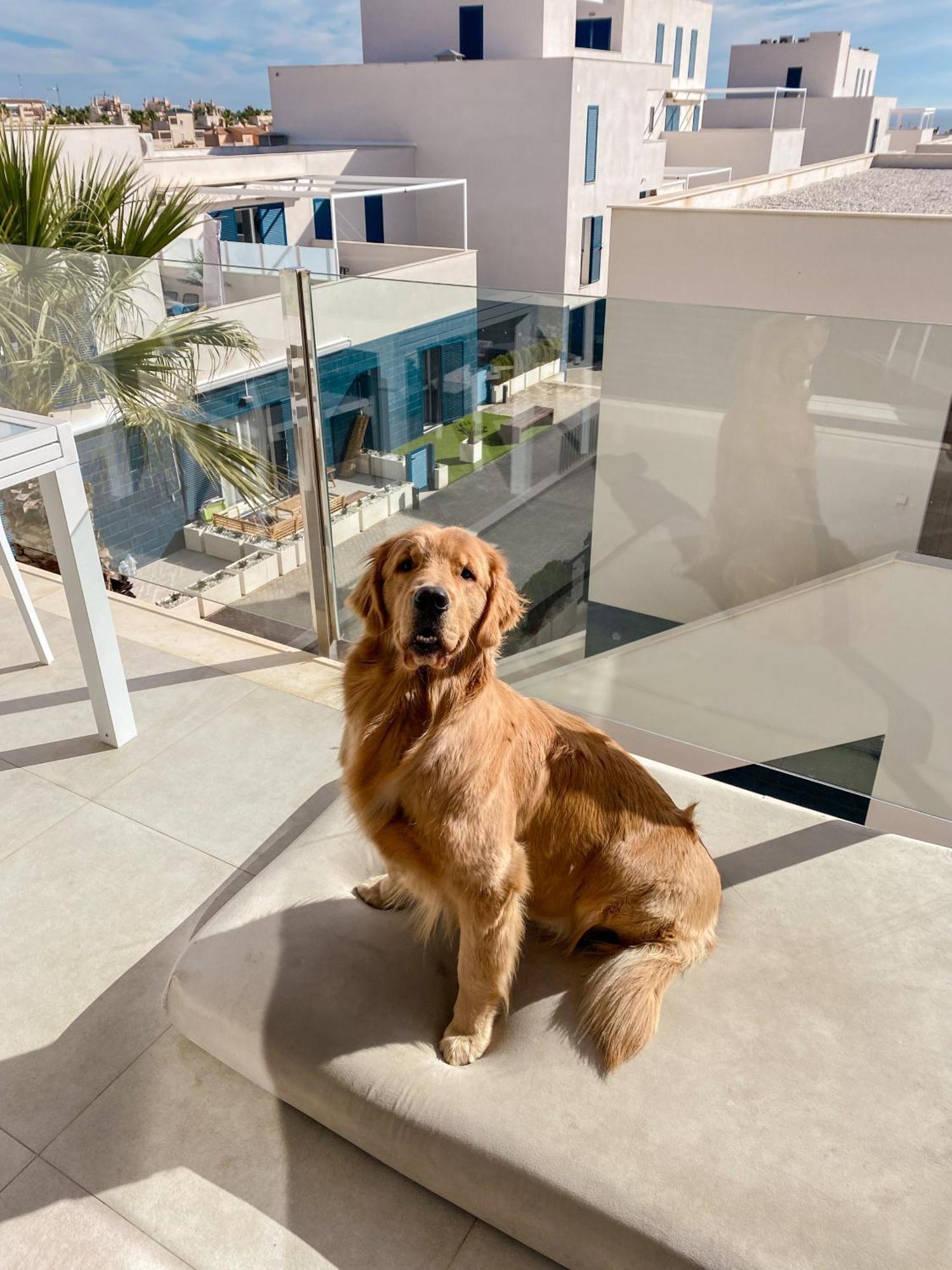 Hola Blanca - Sea, Golf, Chill Lejlighed Dehesa de Campoamor  Eksteriør billede