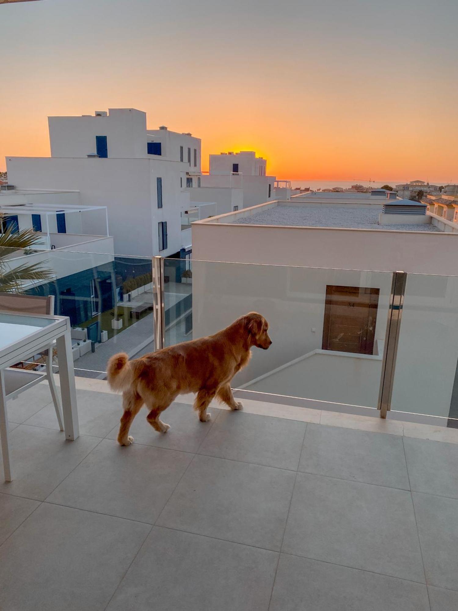 Hola Blanca - Sea, Golf, Chill Lejlighed Dehesa de Campoamor  Eksteriør billede